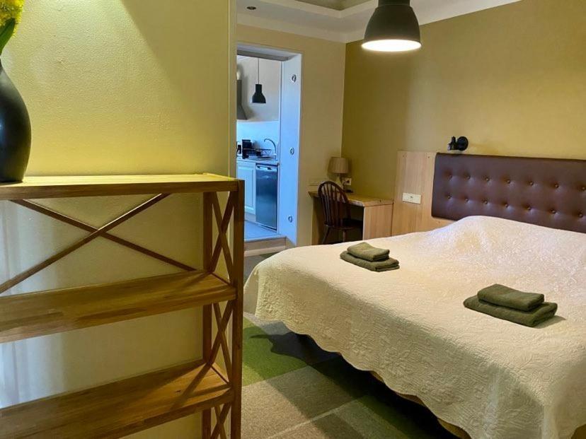 Veeriku Villa Tartu Extérieur photo